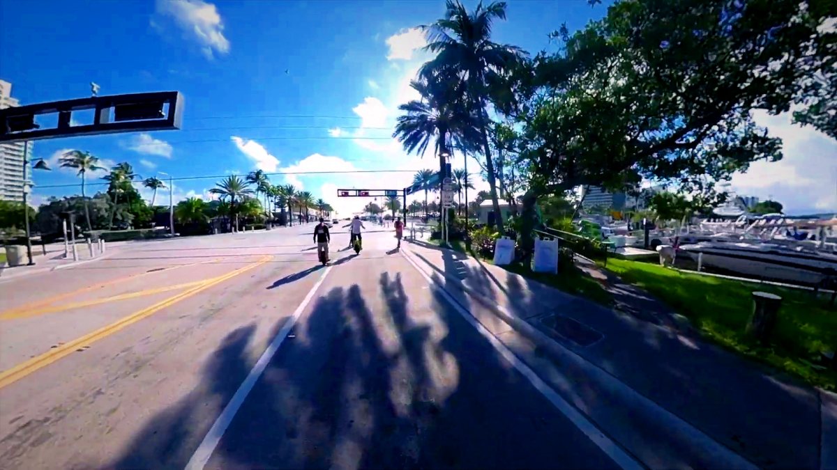 Two riders on a palm-lined street.